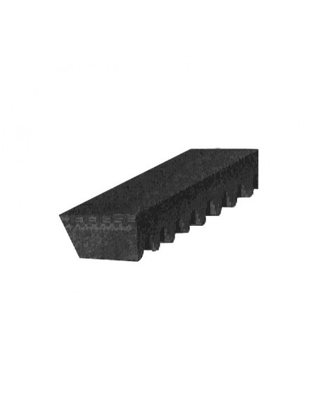 COURROIE TRAPEZOIDALE CRANTEE 12
