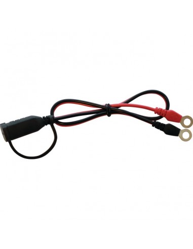 CABLE A OEILLETS M6 POUR CHARGEUR CTEK