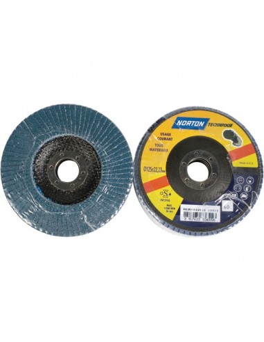 DISQUE A LAMELLES BOMBE 125 MM GRAIN 60 BLUE PRO