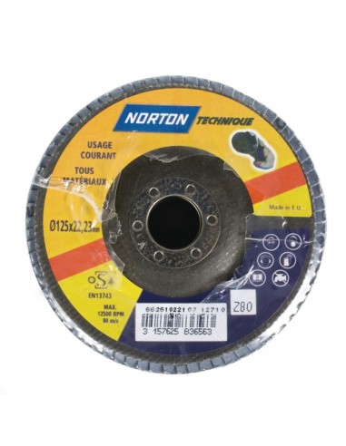 DISQUE A LAMELLES BOMBE 125 MM GRAIN 80 BLUE PRO