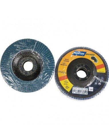 DISQUE A LAMELLES BOMBE 115 MM GRAIN 40 BLUE PRO