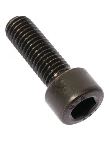VIS CYLINDRIQUE HEXAGONALE CREUX 10X60 BRUT 8.8