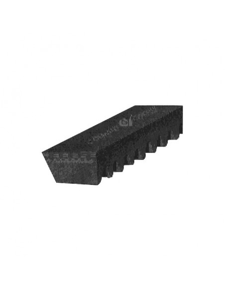 COURROIE TRAPEZOIDALE CRANTEE XPA1307 - 13X10X1307