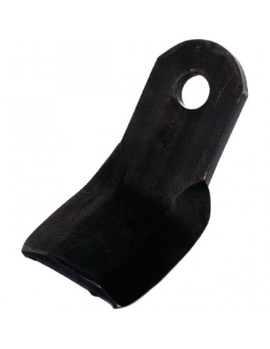 COUTEAU Y PALLADINO