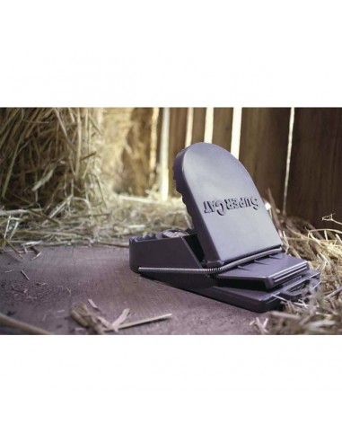 PIEGE A RATS SUPERCAT PRESENTOIR DE 25 PCES