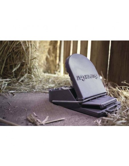 PIEGE A RATS SUPERCAT PRESENTOIR DE 25 PCES