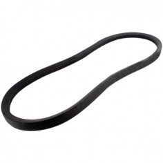 COURROIE DE BROYEUR B39 DEL MORINO 42800039