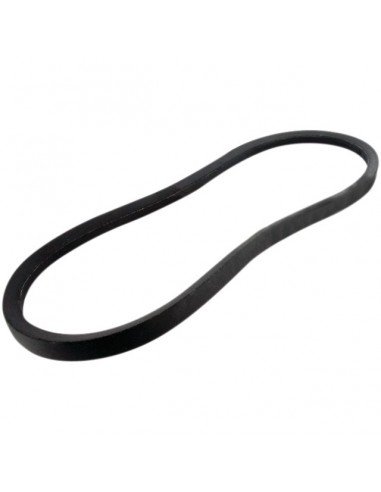 COURROIE DE BROYEUR B39 DEL MORINO 42800039
