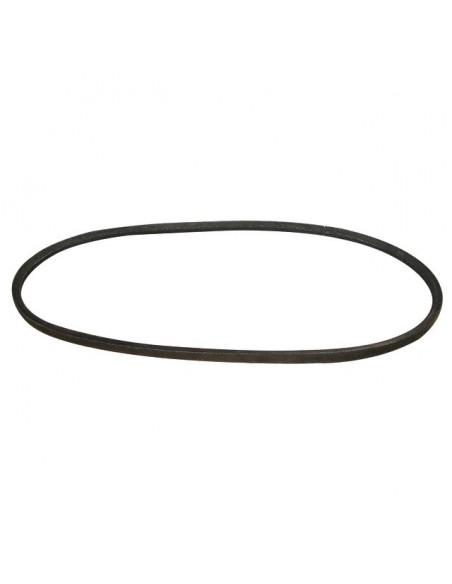 COURROIE POUR BERNARD MOTEUR TYPE BM4 (4080018)