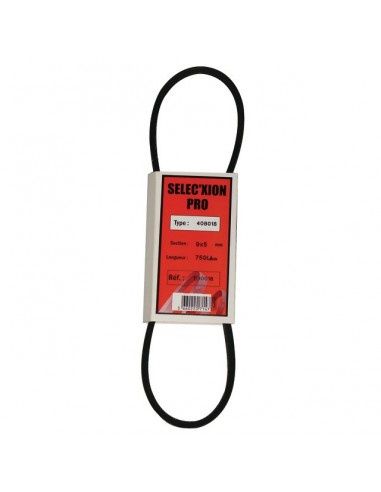 COURROIE POUR BERNARD MOTEUR TYPE BM4 (4080018)