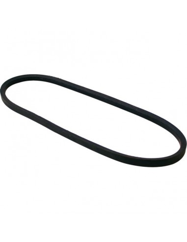 COURROIE POUR MURRAY (37X43)