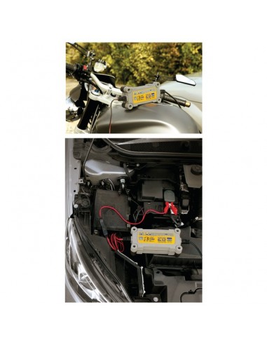 CHARGEUR DE BATTERIE FLASH 6.12 V