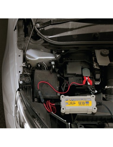 CHARGEUR DE BATTERIE FLASH 12.12 V