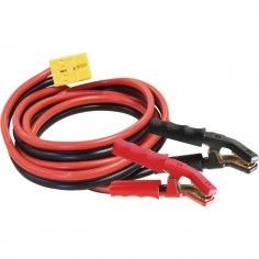 CHARGEUR DE BATTERIE FLASH 100.12 HF 2