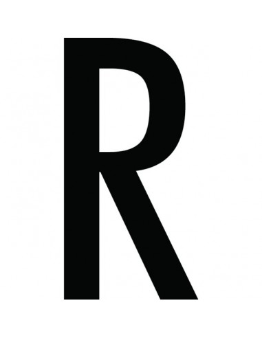 CARACTERE LETTRE ( R ) STYLE AUTO SACHET DE 10