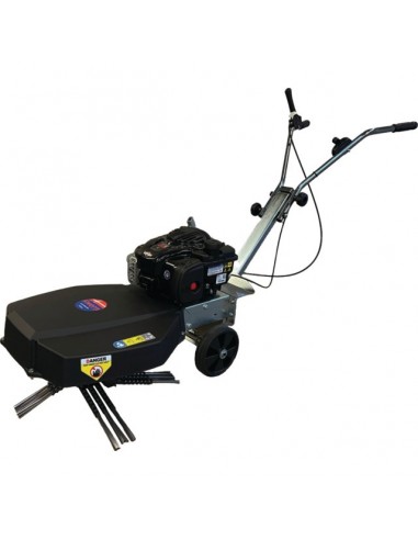 BALAYEUSE A BROSSE ROTATIVE GREENBUSTER HOME 550