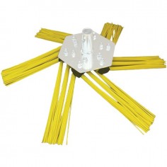 KIT DE 6 ENSEMBLES DE 3 BROSSES POLY POUR HOME 550