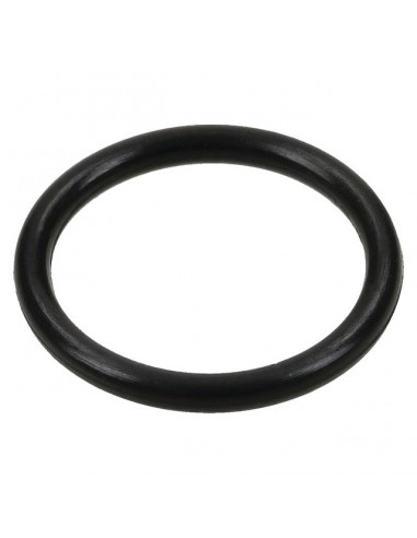 JOINT TORIQUE 1210003900