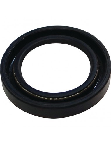 BAGUE HUILE DOUBLE LEVRE 20X30X5 0019006600