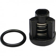 KIT CLAPET KSKX 5025001900