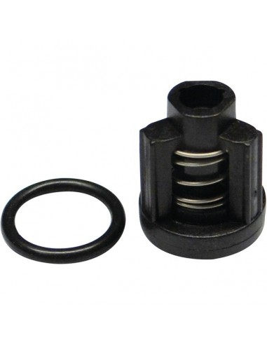 KIT CLAPET KSKX 5025001900