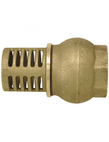 CREPINE FILETEE 33X42