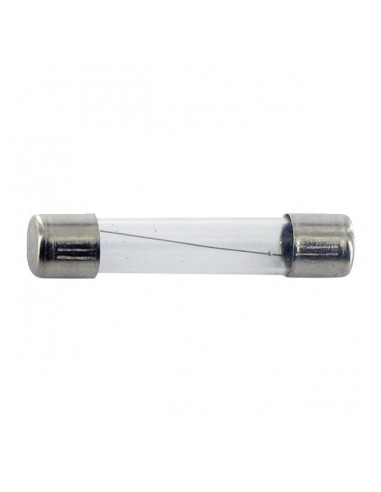 FUSIBLE VERRE 10A 5X20 BLISTER DE 10