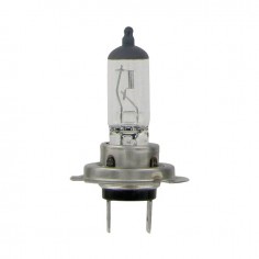 AMPOULE H7 12V 55W  BLISTER