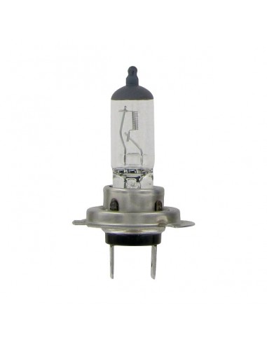 AMPOULE H7 12V 55W  BLISTER