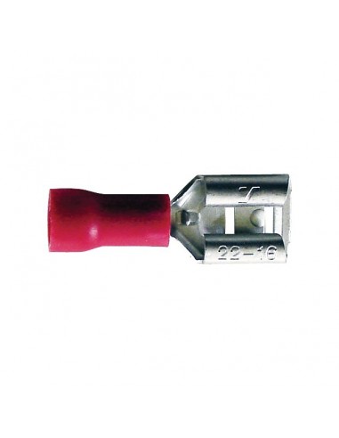 COSSE PLATE FEMELLE ROUGE 2