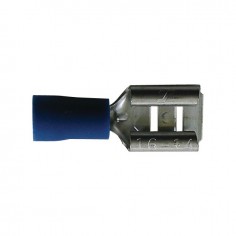 COSSE PLATE FEMELLE BLEUE 6