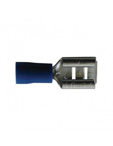 COSSE PLATE FEMELLE BLEUE 6