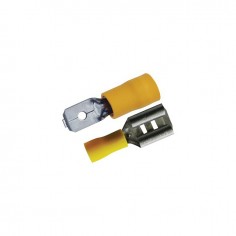 COSSE PLATE MALE FEMELLE ASSORTIMENT JAUNE 6