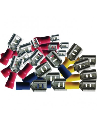 COSSE PLATE FEMELLE ASSORTIMENT 6