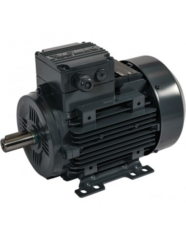 MOTEUR ELECTRIQUE TRIPHASE 230/400 V 1500TR 1