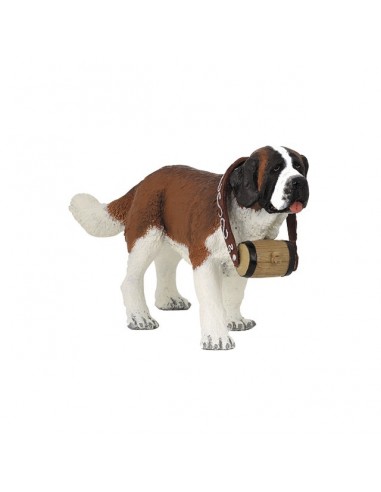 CHIEN SAINT BERNARD AU TONNEAU