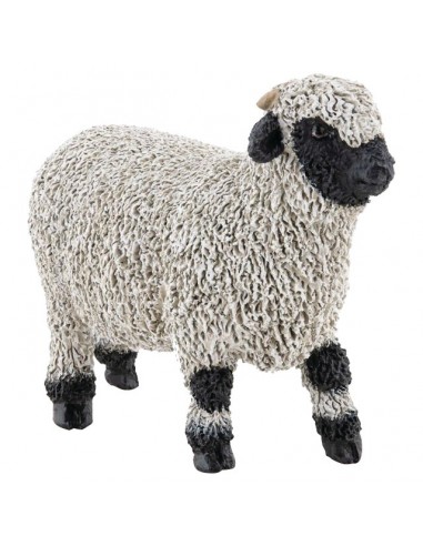 MOUTON NEZ NOIR DU VALAIS PAPO