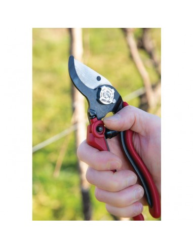 SECATEUR PRO EVO 2