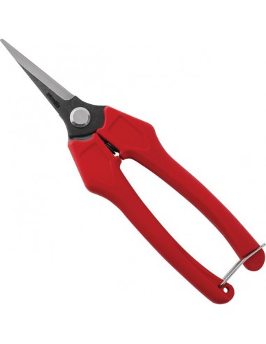 EPINETTE PRO