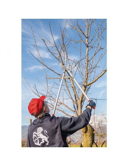 COUPE BRANCHES PRO ENCLUME COURBEE 80 CM