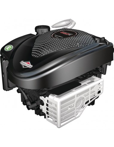 MOTEUR BRIGGS & STRATTON 126T02-0074