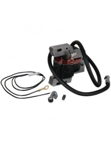 BOBINE ELECTRONIQUE ORIGINE BRIGGS & STRATTON