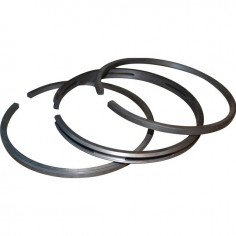 SEGMENTS ORIGINE BRIGGS & STRATTON LE JEU