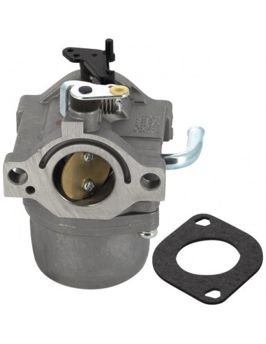 CARBURATEUR BRIGGS AND STRATTON STARTER MANUEL