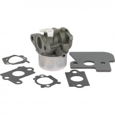CARBURATEUR ORIGINE BRIGGS & STRATTON A POIRE