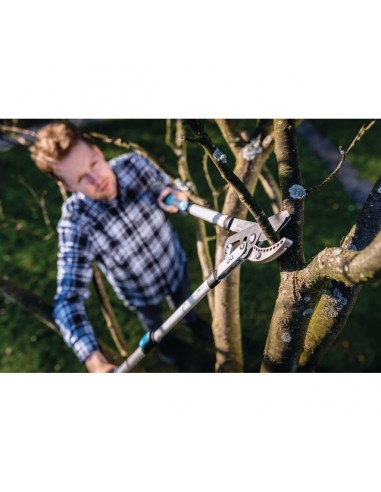 COUPE BRANCHES A ENCLUME TELESCOPIQUE - IDEAL