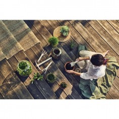 TRANSPLANTOIR BASIC COULEUR BLEU PASTEL 2