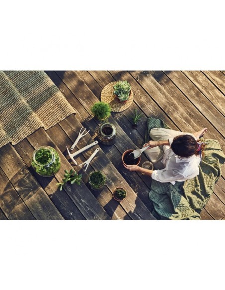 TRANSPLANTOIR BASIC COULEUR BLEU PASTEL