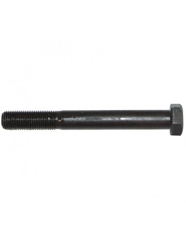 VIS LAME LONGUEUR 80MM ORIGINE GGP