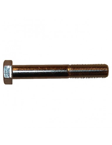 VIS LAME LONGUEUR 62MM ORIGINE GGP